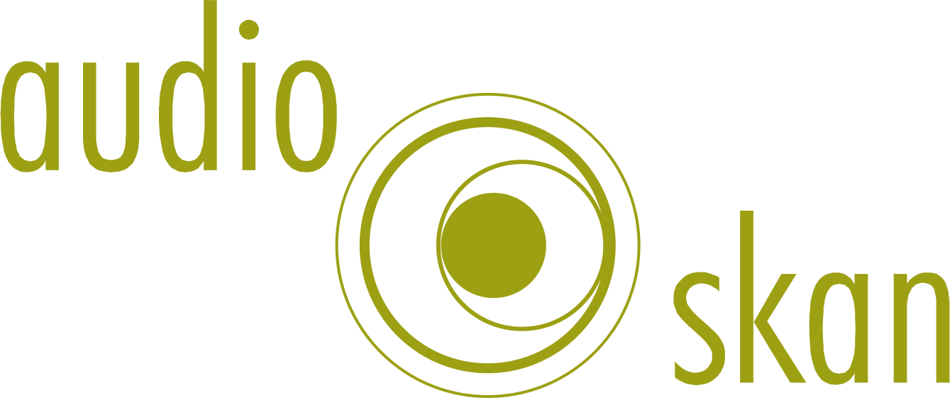 logo audioskan 2